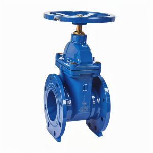 Marine Gate Valve